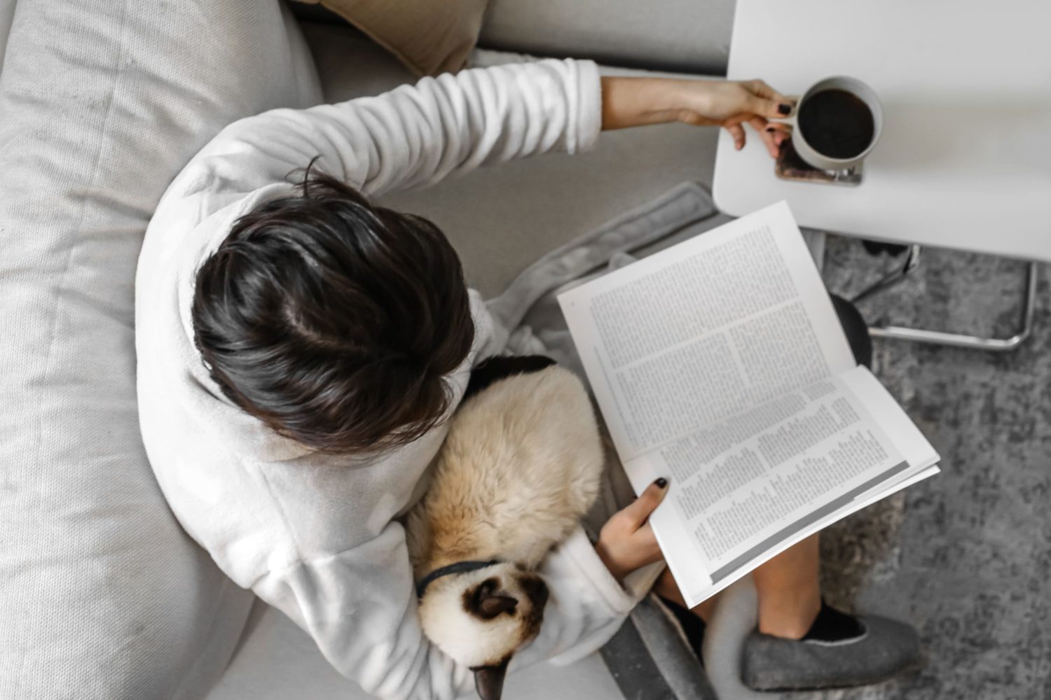 sitting on a couch with a cat