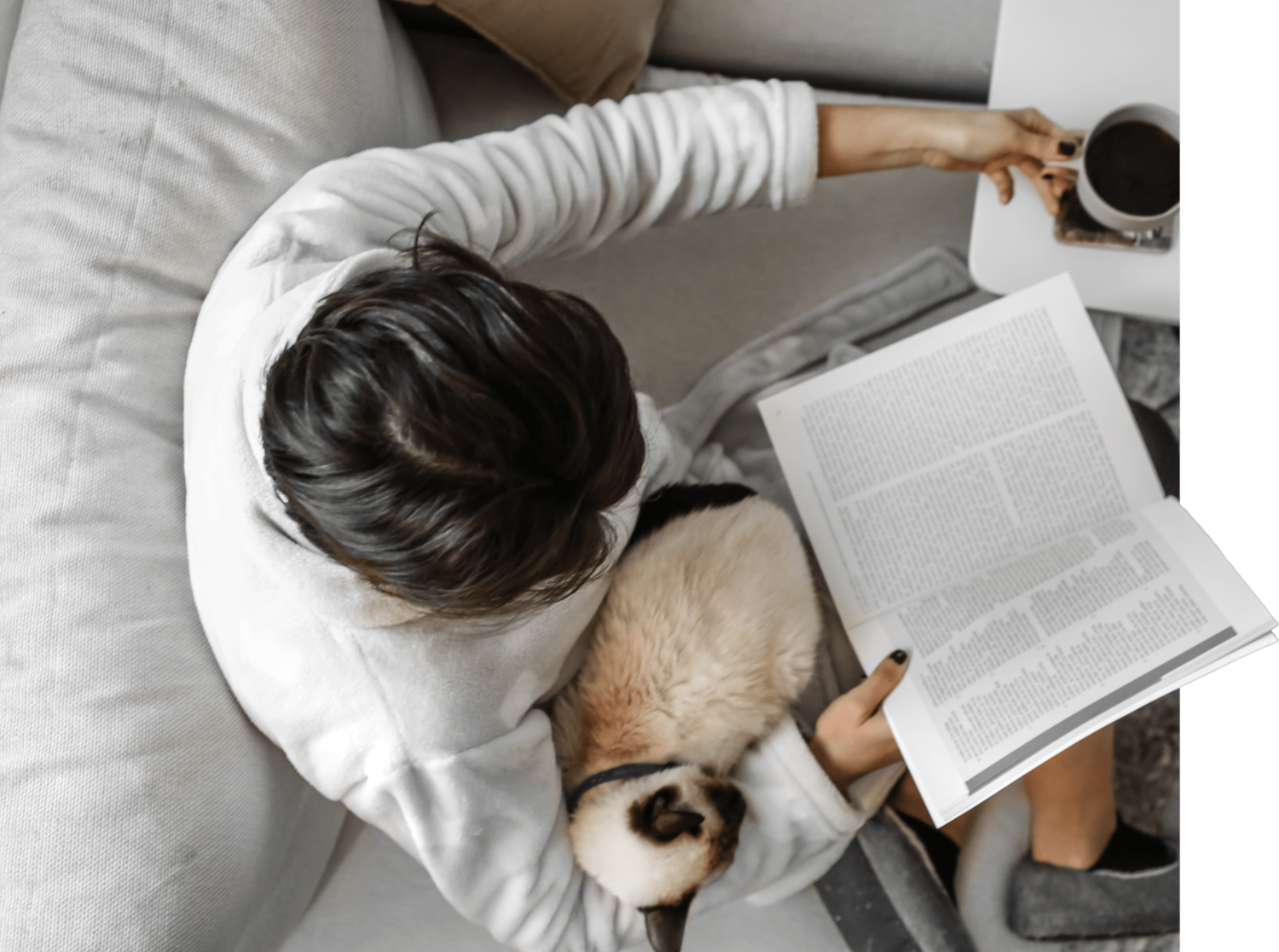 sitting on a couch with a cat