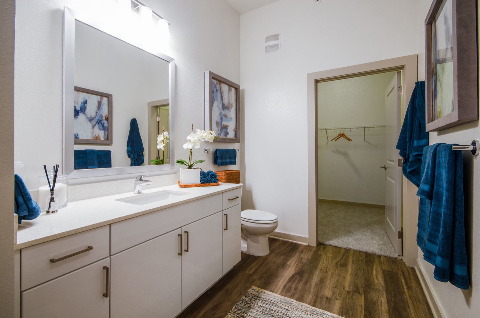 Bathroom with walk in closet