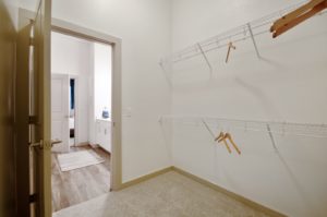 Walk in closet with shelves