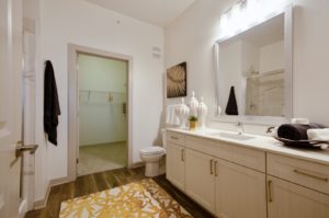 Bathroom with walk in closet