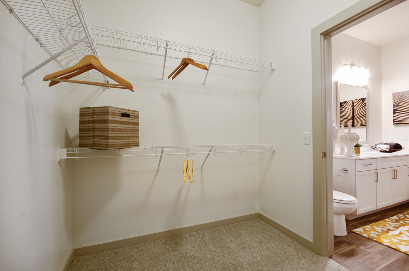 Walk in closet with shelves