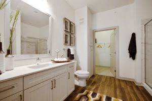 Bathroom with glass shower and walk in closet